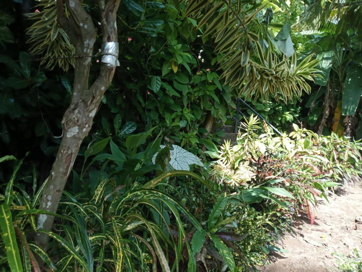 Tharul Home Bentota Exterior foto